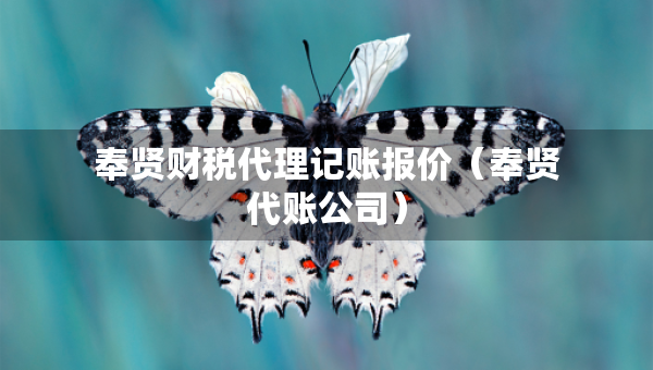 奉贤财税代理记账报价（奉贤代账公司）