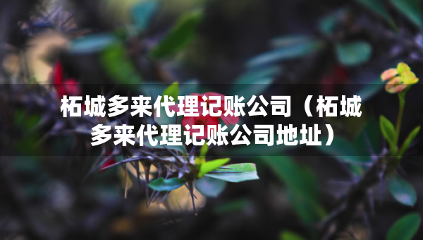 柘城多来代理记账公司（柘城多来代理记账公司地址）