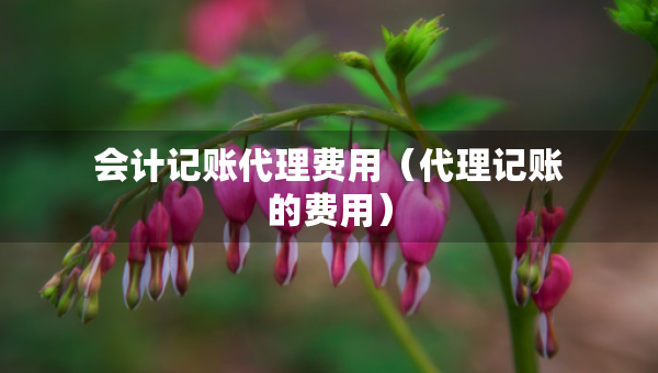 会计记账代理费用（代理记账的费用）