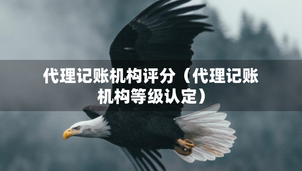 代理记账机构评分(代理记账机构等级认定) 代理记账机构评分(代理记账机构等级认定)