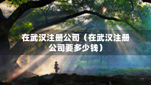 在武汉注册公司（在武汉注册公司要多少钱）