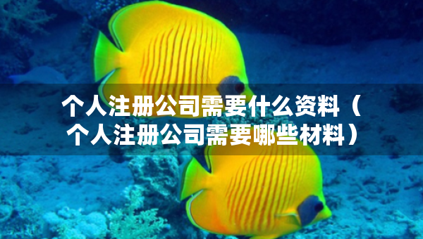 个人注册公司需要什么资料（个人注册公司需要哪些材料）