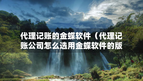 代理记账的金蝶软件（代理记账公司怎么选用金蝶软件的版本）