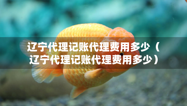 辽宁代理记账代理费用多少（辽宁代理记账代理费用多少）