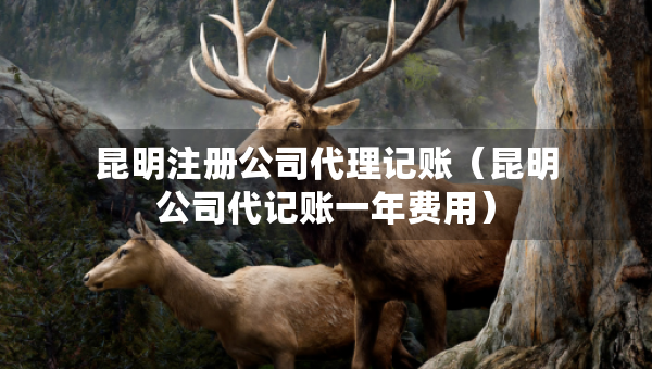 昆明注册公司代理记账（昆明公司代记账一年费用）