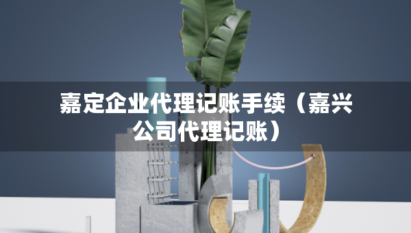 嘉定企业代理记账手续（嘉兴公司代理记账）
