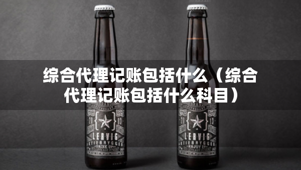 综合代理记账包括什么（综合代理记账包括什么科目）