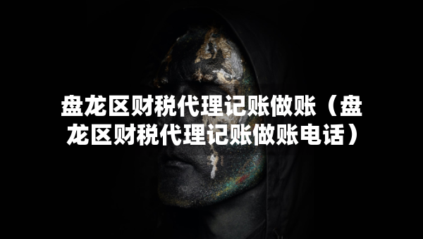盘龙区财税代理记账做账（盘龙区财税代理记账做账电话）