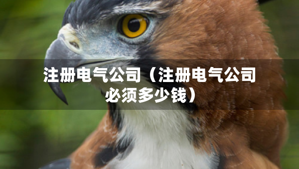 注册电气公司（注册电气公司必须多少钱）