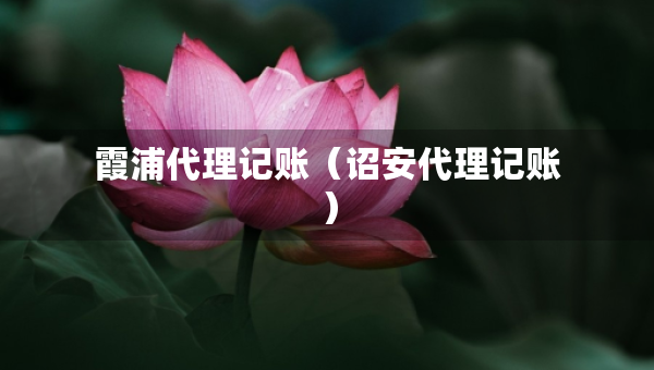 霞浦代理记账(诏安代理记账) 霞浦代理记账(诏安代理记账)