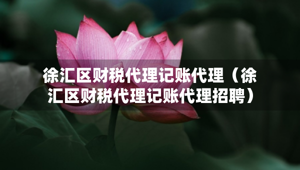 徐汇区财税代理记账代理（徐汇区财税代理记账代理招聘）