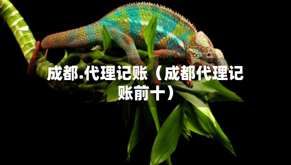 成都.代理记账（成都代理记账前十）