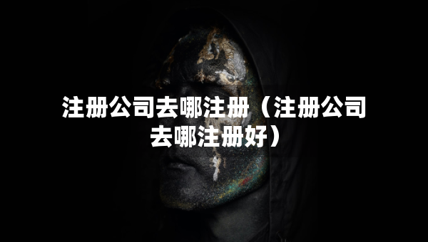 注册公司去哪注册（注册公司去哪注册好）