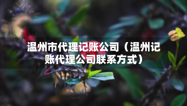 温州市代理记账公司（温州记账代理公司联系方式）