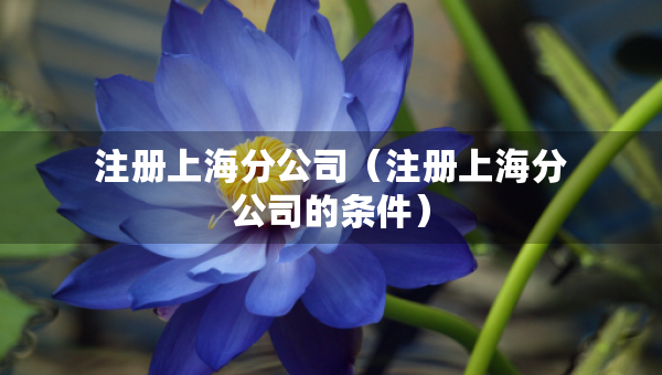 注册上海分公司（注册上海分公司的条件）