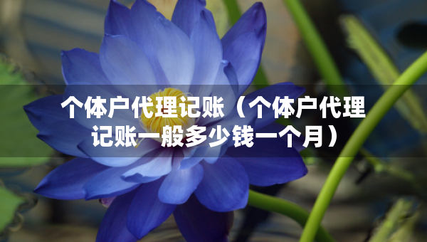 个体户代理记账（个体户代理记账一般多少钱一个月）