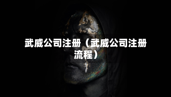 武威公司注册（武威公司注册流程）