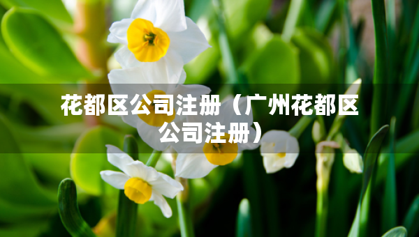 花都区公司注册（广州花都区公司注册）