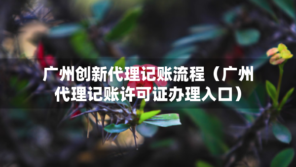 广州创新代理记账流程（广州代理记账许可证办理入口）