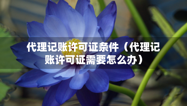 代理记账许可证条件（代理记账许可证需要怎么办）