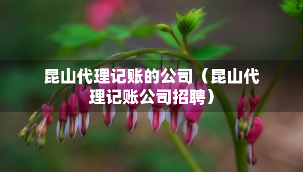 昆山代理记账的公司(昆山代理记账公司招聘) 昆山代理记账的公司(昆山代理记账公司招聘)