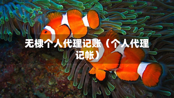 无棣个人代理记账（个人代理记帐）