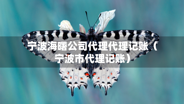 宁波海曙公司代理代理记账（宁波市代理记账）