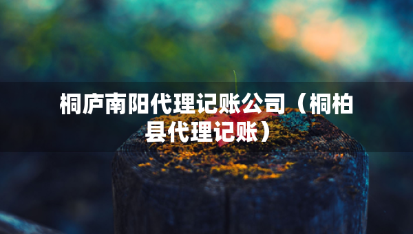 桐庐南阳代理记账公司（桐柏县代理记账）