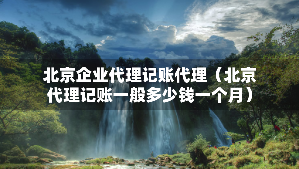 北京企业代理记账代理（北京代理记账一般多少钱一个月）
