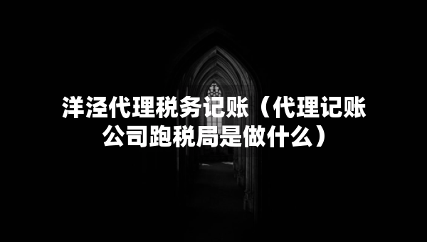 洋泾代理税务记账（代理记账公司跑税局是做什么）