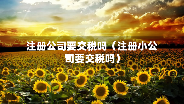 注册公司要交税吗（注册小公司要交税吗）