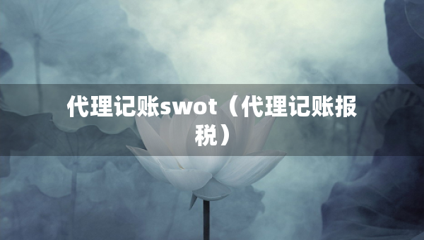 代理记账swot（代理记账报税）