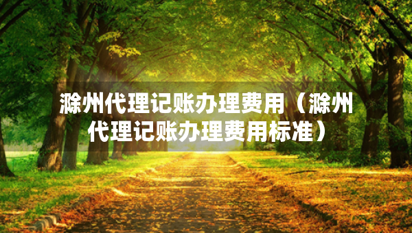 滁州代理记账办理费用(滁州代理记账办理费用标准) 滁州代理记账办理费用(滁州代理记账办理费用标准)