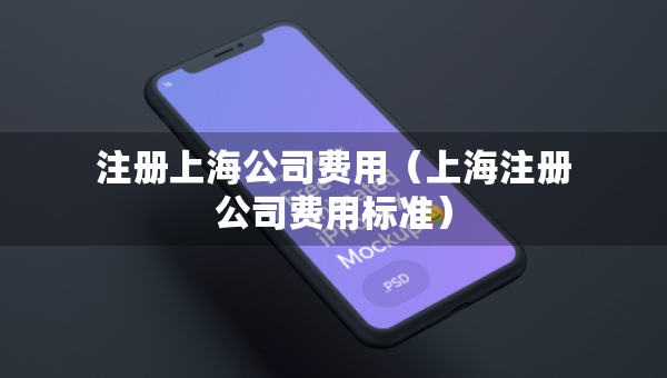 注册上海公司费用（上海注册公司费用标准）