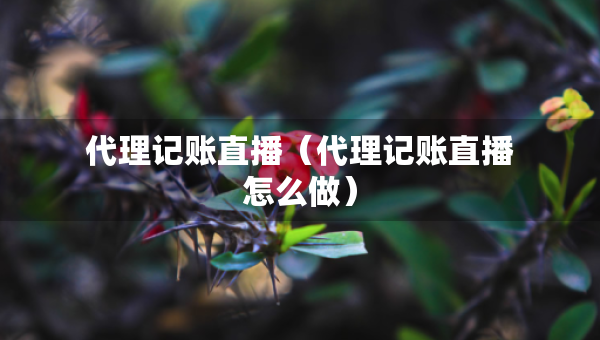 代理记账直播（代理记账直播怎么做）