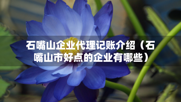 石嘴山企业代理记账介绍（石嘴山市好点的企业有哪些）