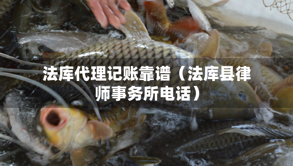 法库代理记账靠谱（法库县律师事务所电话）
