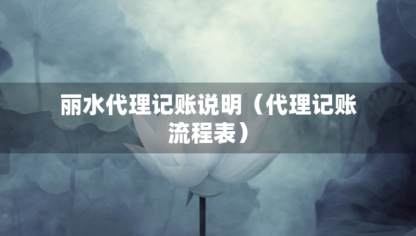 丽水代理记账说明(代理记账流程表) 丽水代理记账说明(代理记账流程表)