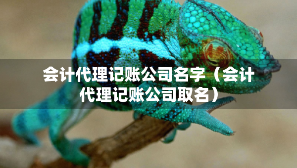 会计代理记账公司名字（会计代理记账公司取名）