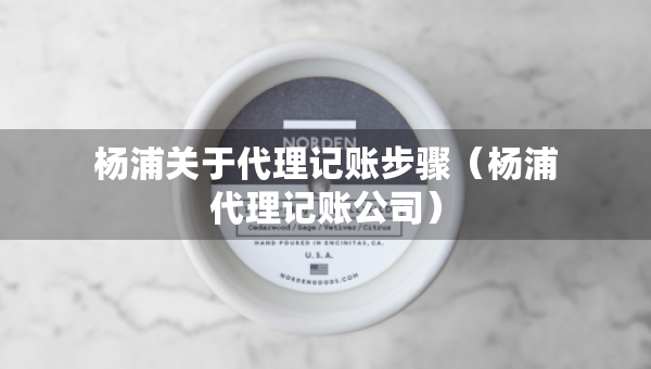 杨浦关于代理记账步骤（杨浦代理记账公司）