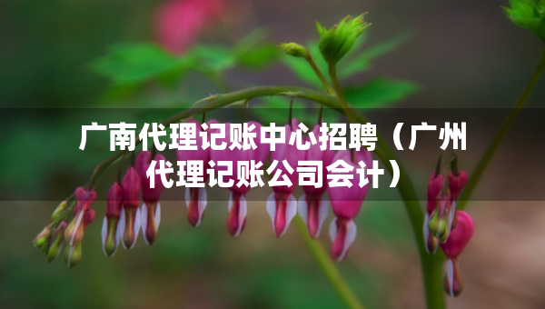 广南代理记账中心招聘（广州代理记账公司会计）