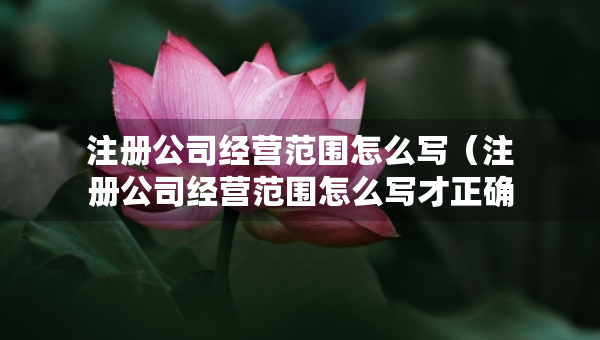 注册公司经营范围怎么写（注册公司经营范围怎么写才正确）