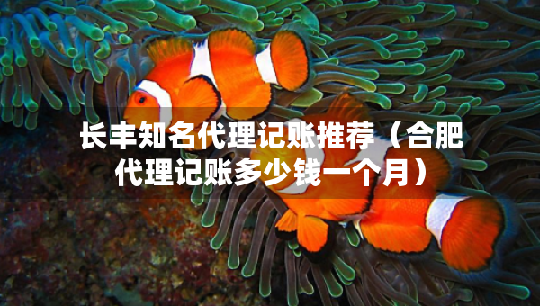 长丰知名代理记账推荐（合肥代理记账多少钱一个月）