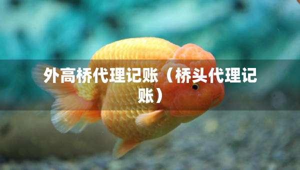 外高桥代理记账（桥头代理记账）