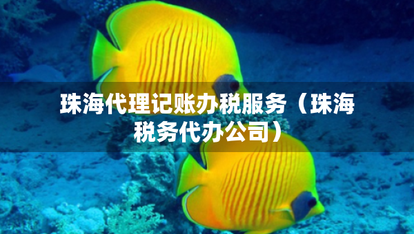 珠海代理记账办税服务（珠海税务代办公司）
