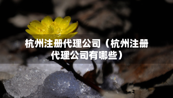 杭州注册代理公司（杭州注册代理公司有哪些）
