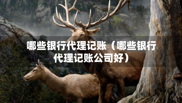 哪些银行代理记账（哪些银行代理记账公司好）