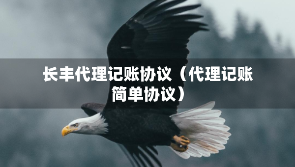 长丰代理记账协议（代理记账简单协议）