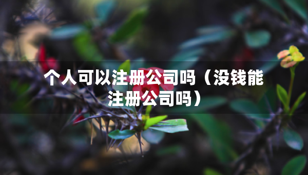 个人可以注册公司吗（没钱能注册公司吗）