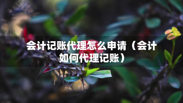 会计记账代理怎么申请（会计如何代理记账）